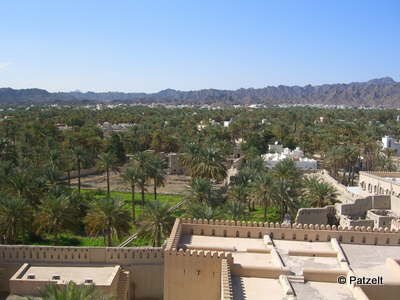 Nizwa Oasis